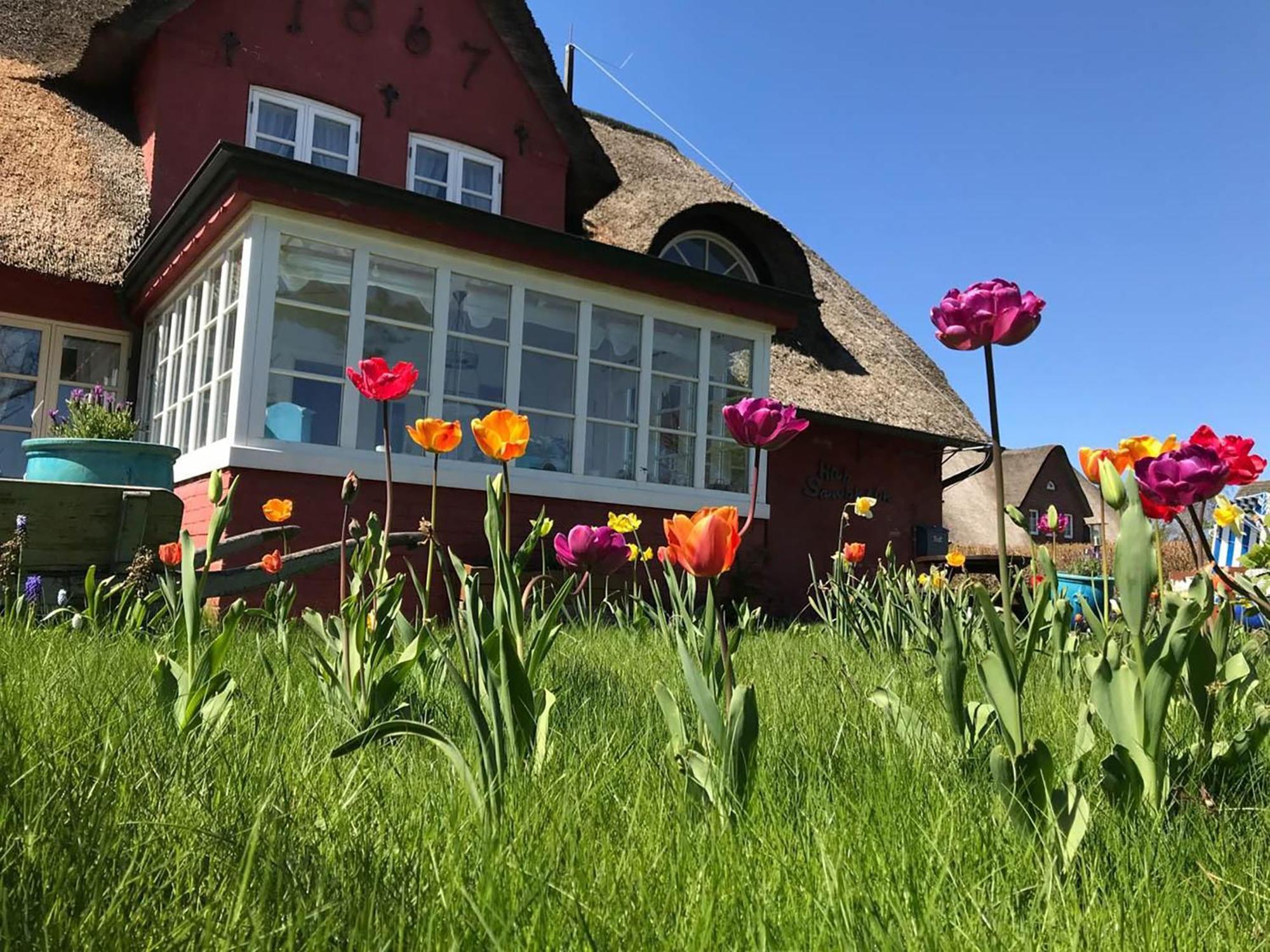 Hues Sanskiin Ferienwohnung *Hopelfask* Suddorf 외부 사진
